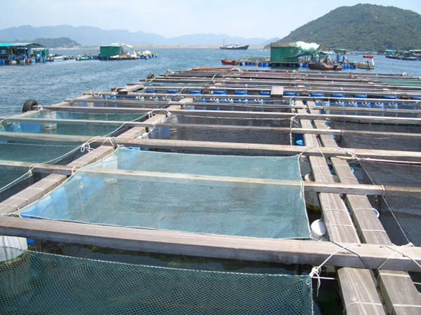 養(yǎng)魚場