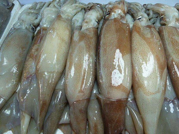魷魚配送